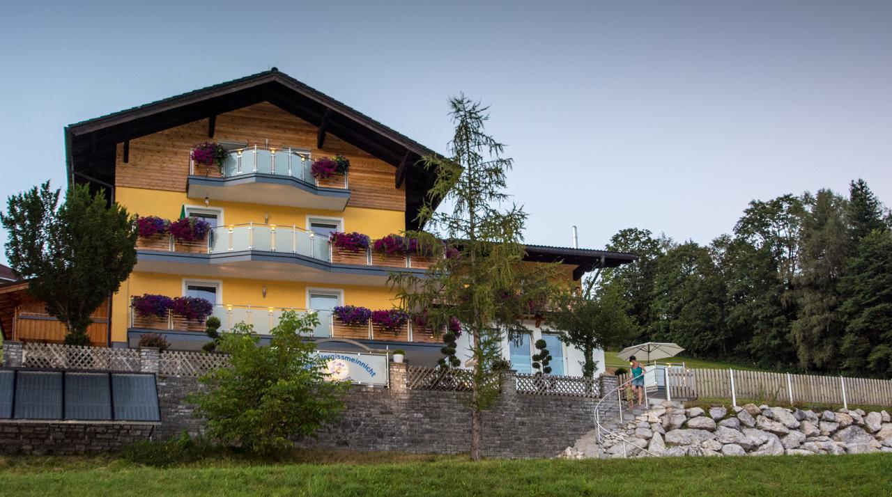 Apartmenthaus Vergissmeinnicht Abtenau Kültér fotó